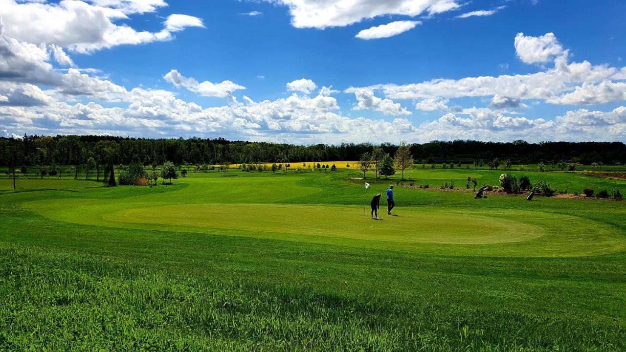 Holata 201 Hradec Kralove